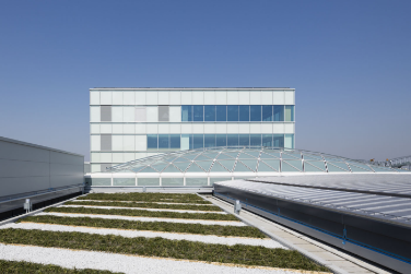 Green Roofing